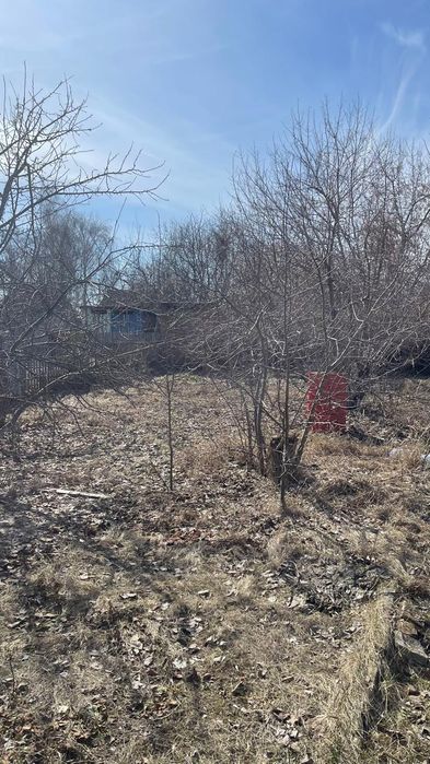 Дача хороший, 4 яблони вкусные