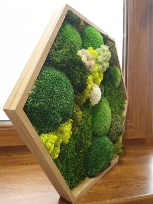 Tablou hexagonal din muschi si licheni 45.5 cm