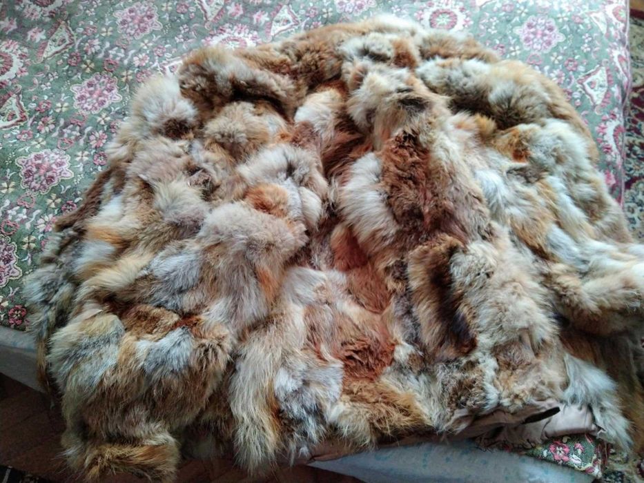Палта дамски разни