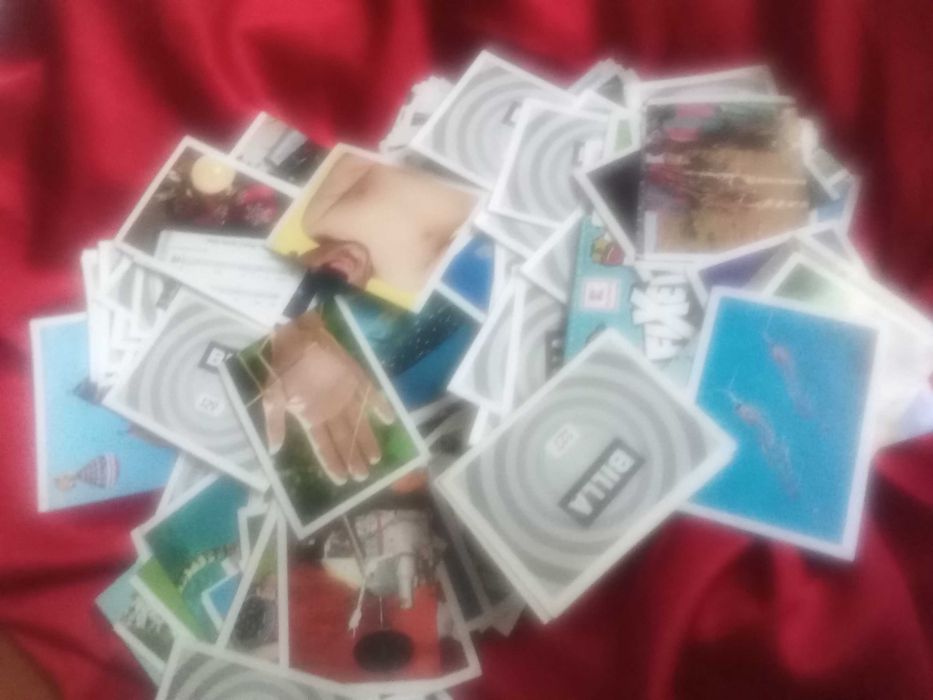 Картинки от Била интересни факти всичките