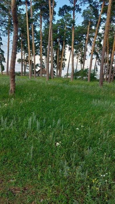 Продам участок 50 соток