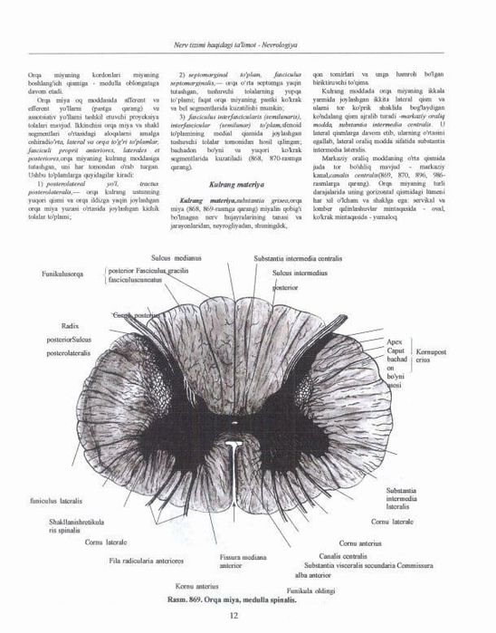 Kitob atlas Sinelnikov uzb