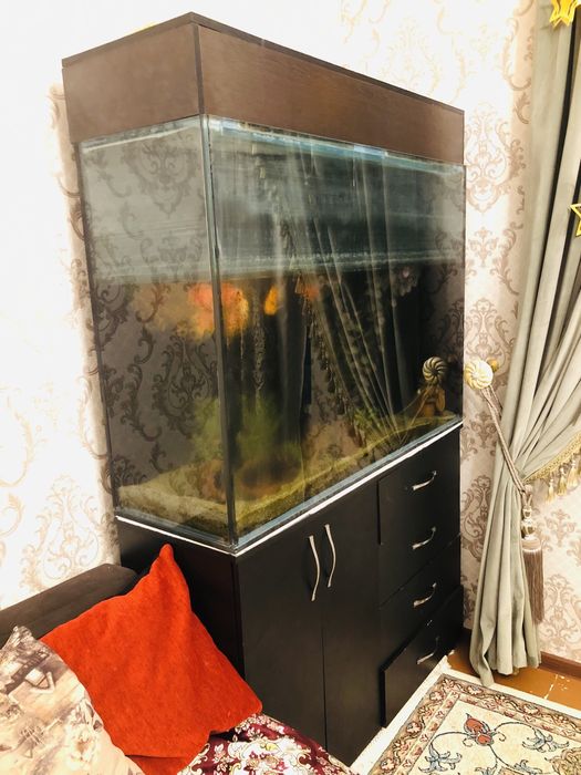 Akvarium sotiladi 500 lt