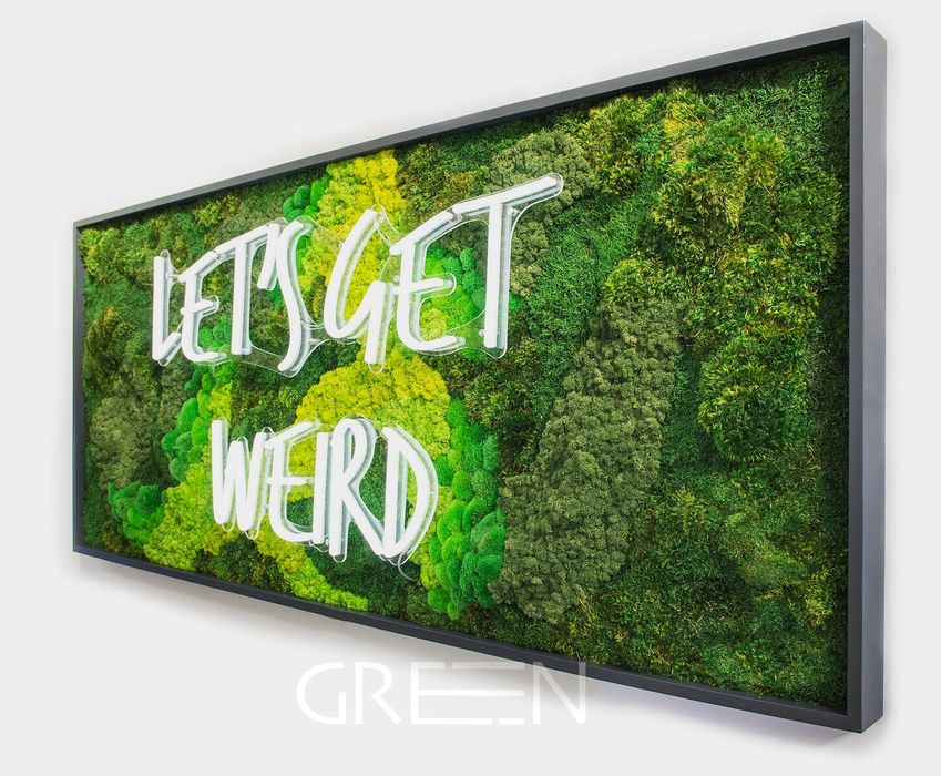 Фито стены . мох . Стабилизированные растения