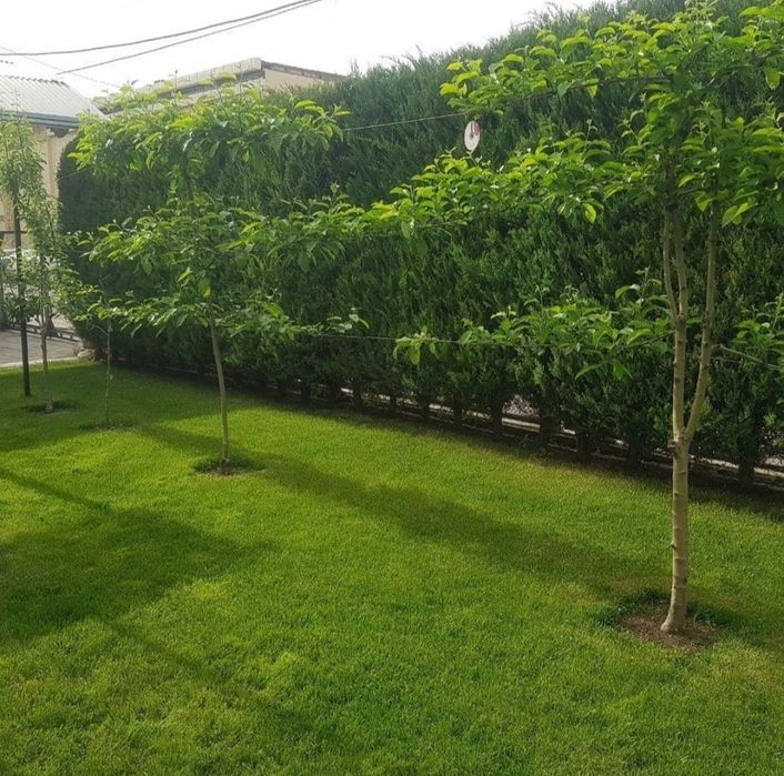 Рулонный газон Jhonsons, Sportmaster оптом цена за рулон*