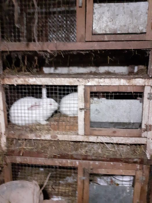 Продам клетки для кроликов.