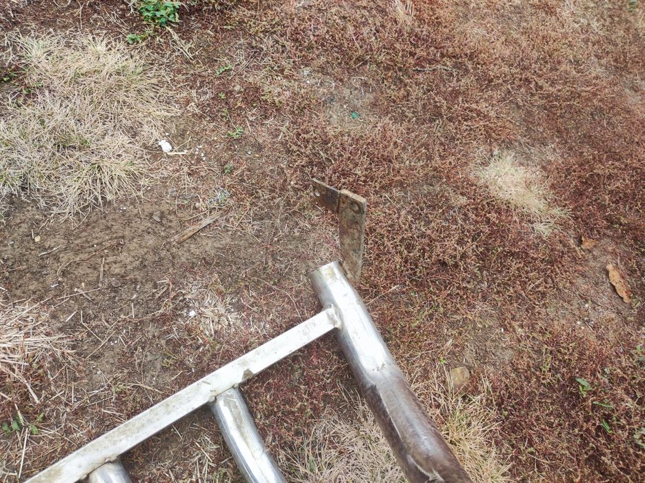 Bulbar Mercedes vito