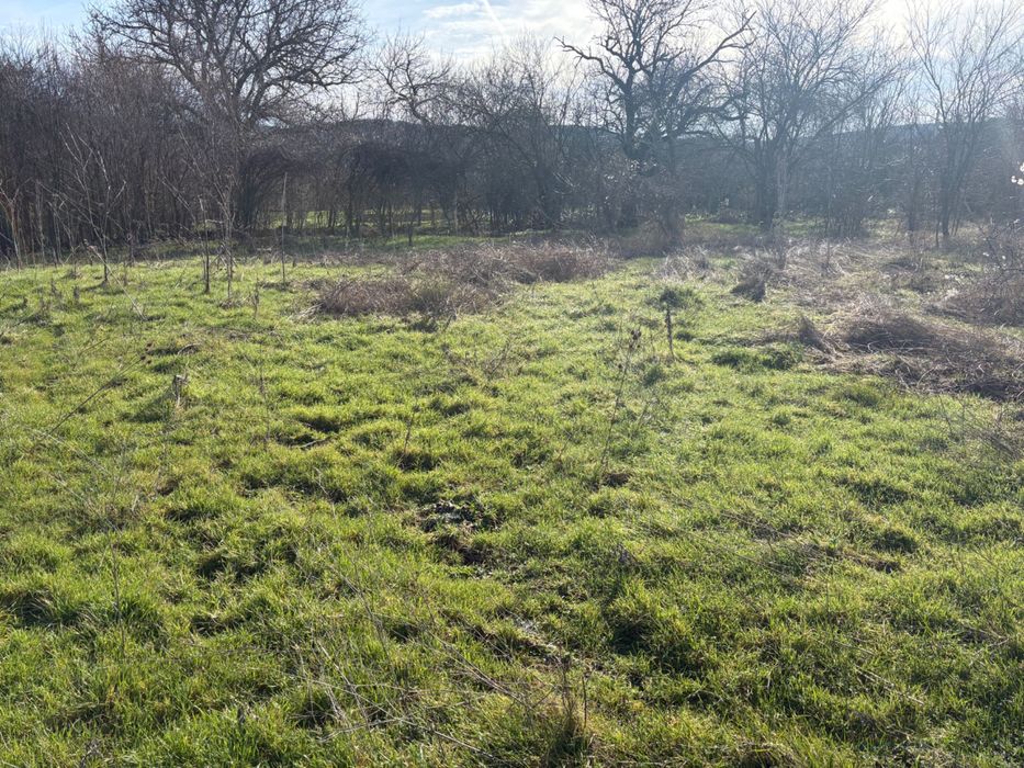 Продава се Парцел в с. Вехтово, Област Шумен - 2900 кв.м за 11 €/кв.м - Снимка #3