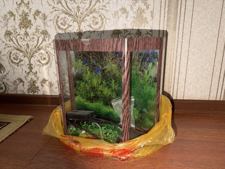 Аквариум недорого