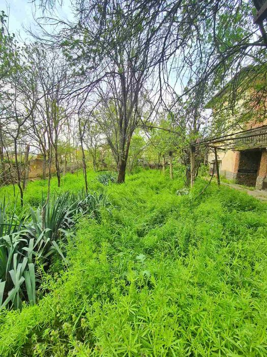 Продаваме къща гр. Искър в близост до Плевен !