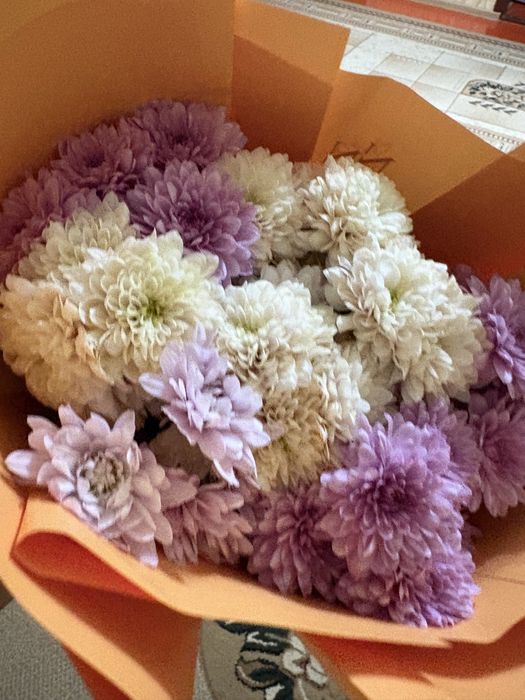 цветы хризантема"""