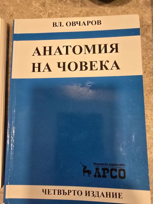 Анатомия на човека