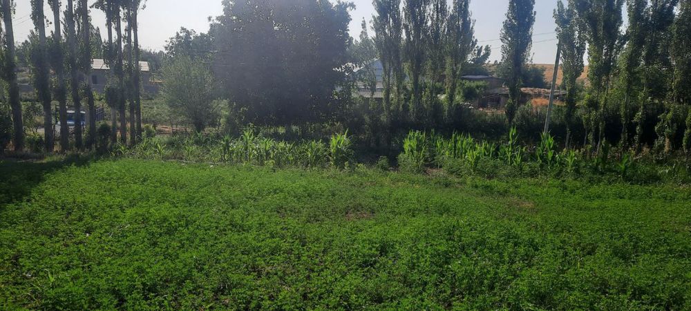 Продам участок, 6-соток, с кадастром!!!