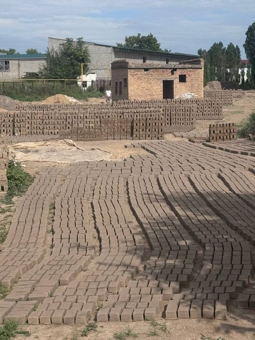 650 som gishtlar