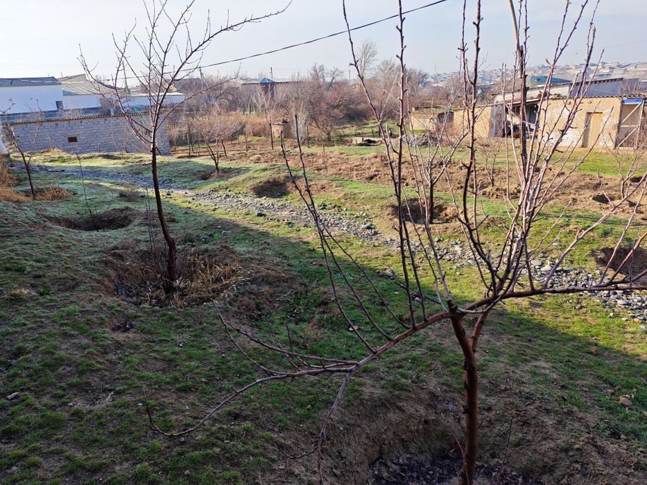 Nurobod shahri Sharq Yulduzi MFY "Yangi Mernida" da hovli sotiladi.