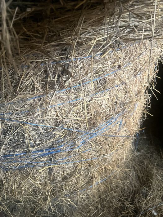 Baloti de fan  de vanzare