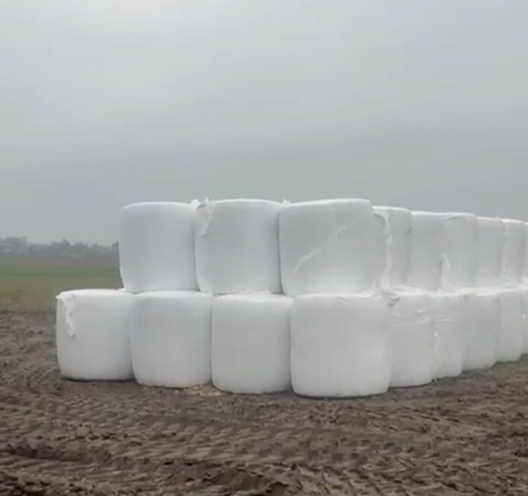 Baloți porumb siloz