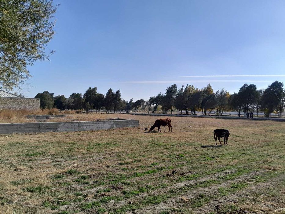 Yer uchastkasi sotiladi