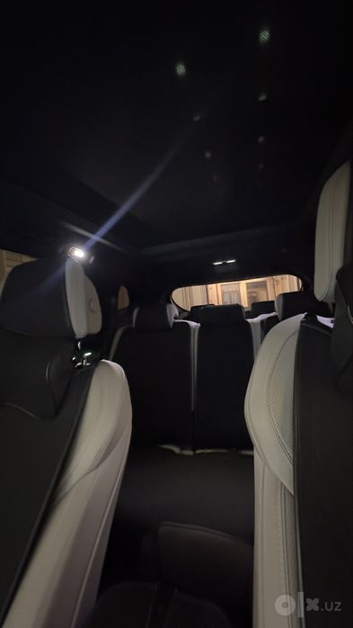 BYD Tang Champion Edition