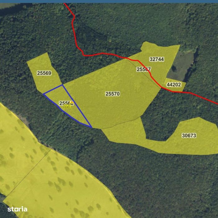Pădure mixtă de vânzare în Sfântu Gheorghe!