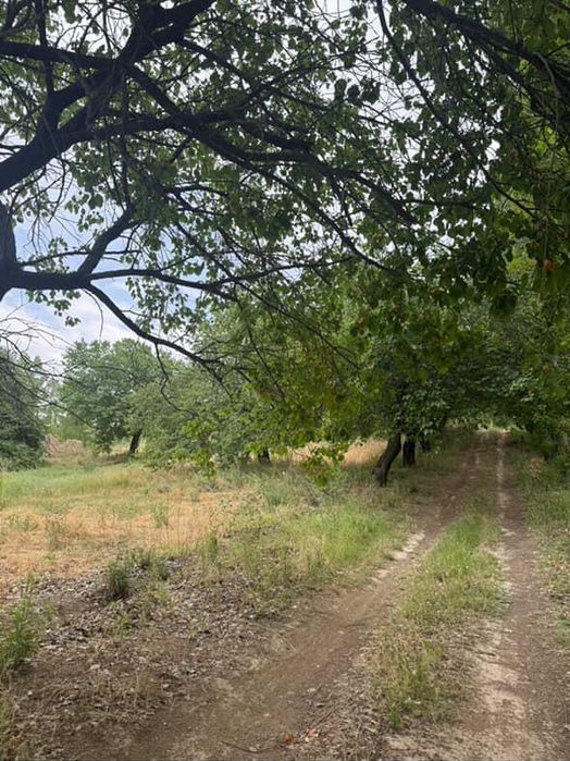 2 .5 gektar boğ baliq hovuzi ham bor