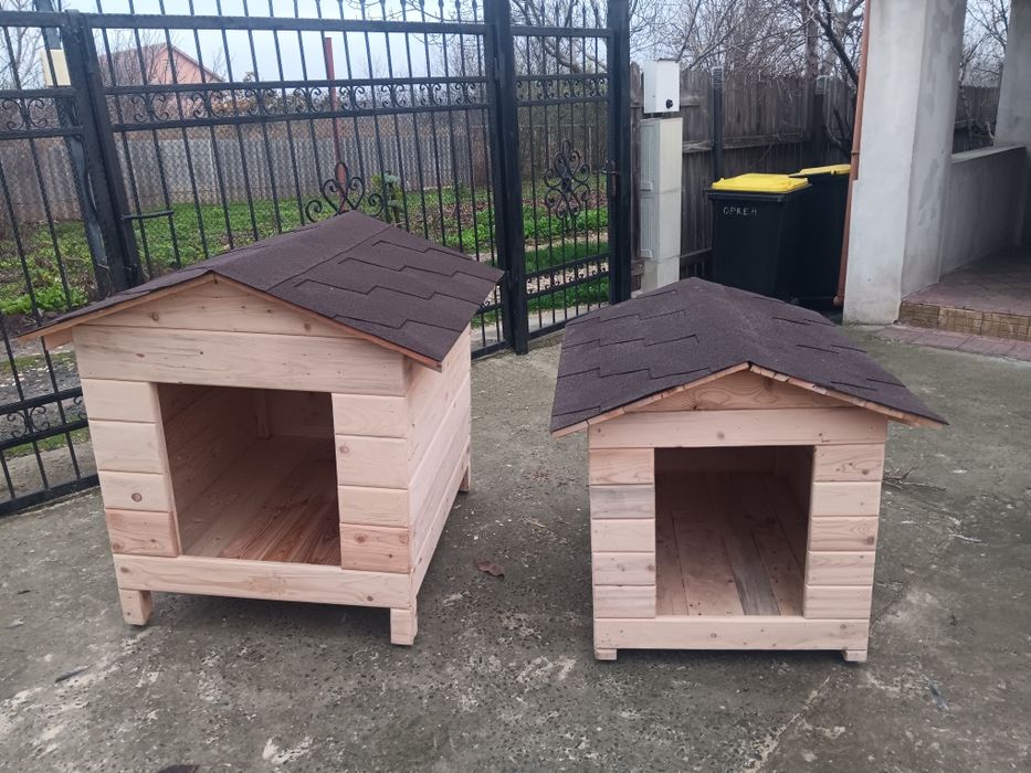 Cusca catel pisici la comanda