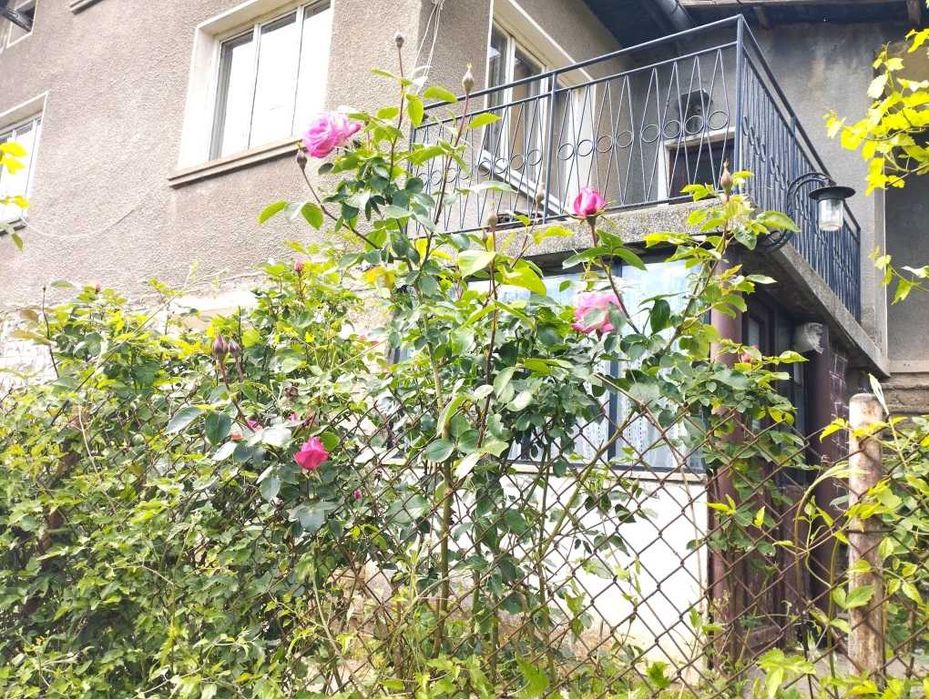 Продава се Къща в Своге - 80 кв.м за 638 €/кв.м - Снимка #1