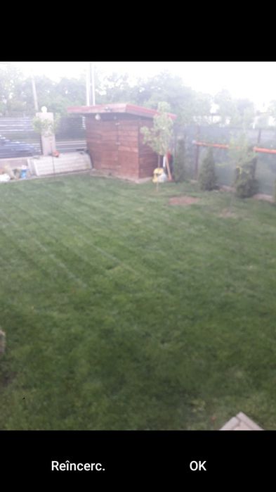 ExEcuT LucRAI INgRijiRE cuRTe
