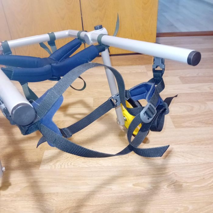 Инвалидна количка за куче