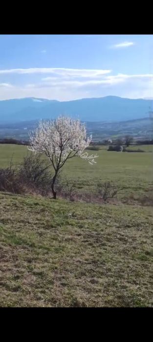 Teren de vânzare în Sibiu