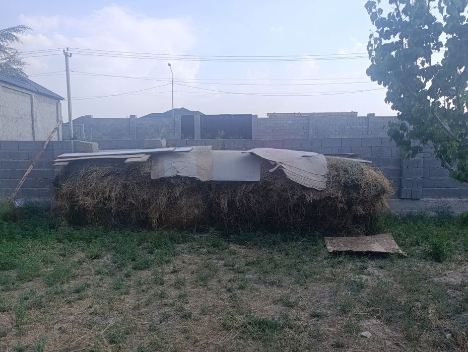 Жоңышқа сатылады