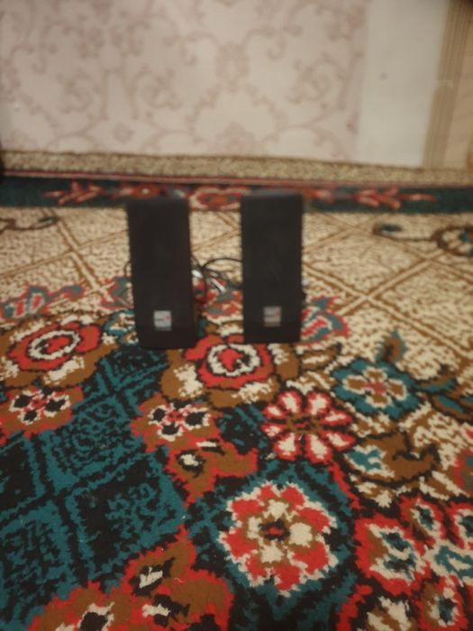 Kampitor kalonkasi sotiladi narxini kelishamiz