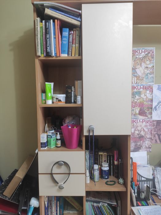 Школьная стенка Мечта