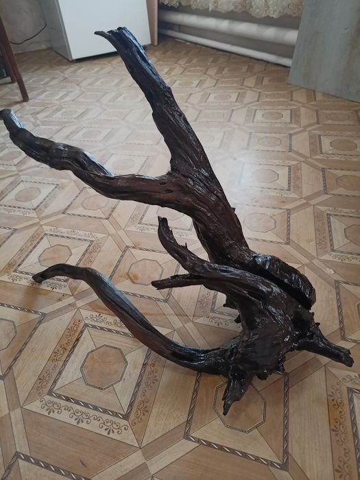 Мангра Карягала сотилади