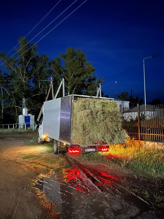 Тюк 550₸ сатылады