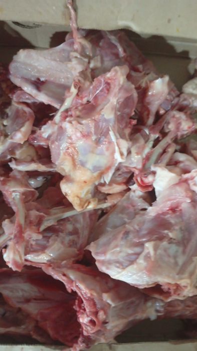 Продаю куриные кости всегда в наличии
