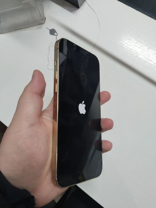 Iphone 12 pro max / айфон 12 про макс