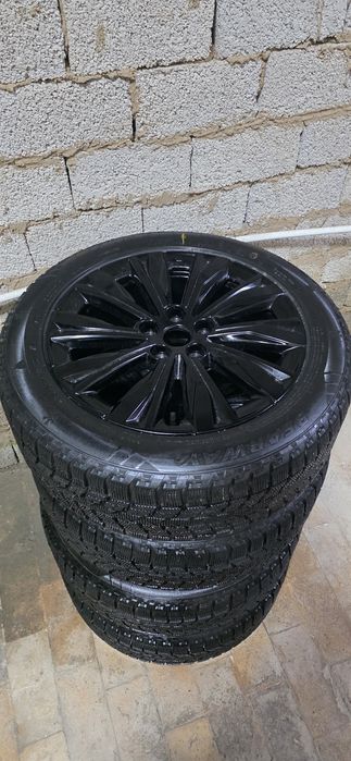 Hongi 18 диска кора