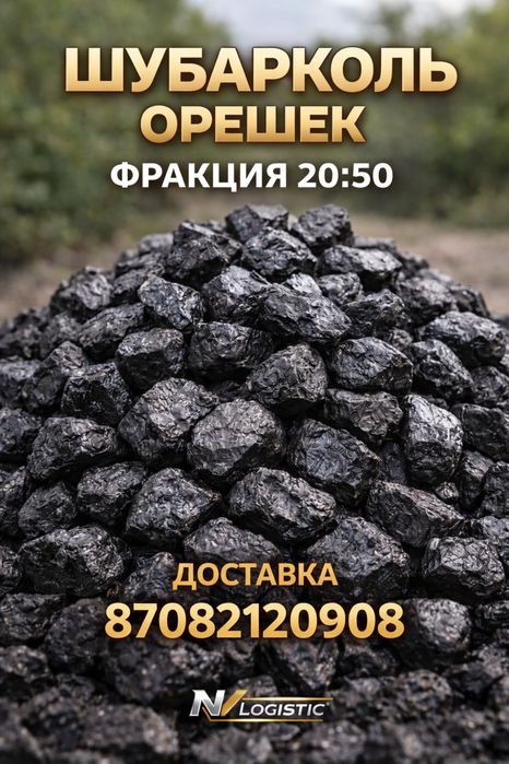 Уголь Шубарколь орех сорт