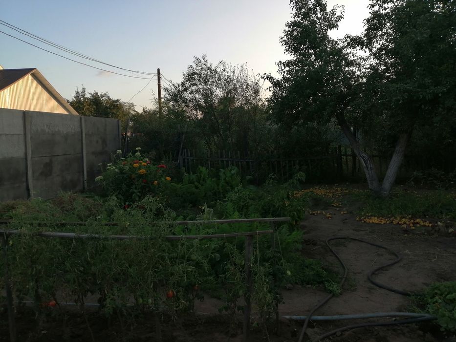 Участок. Около дома малютки