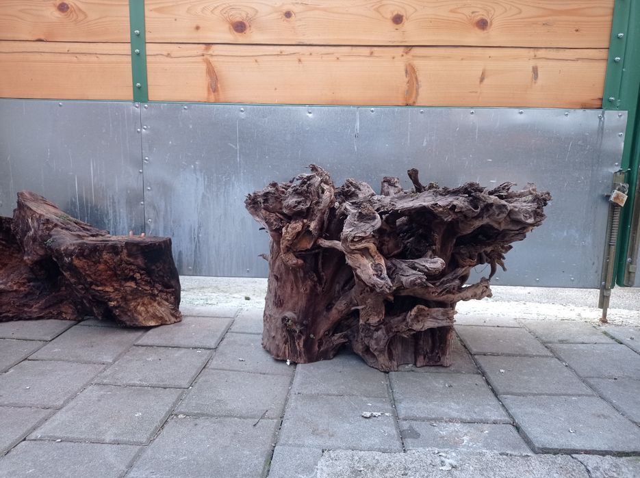Driftwood, piese mari stejar. Decor acvariu bec acvariu t5juwe400 litr