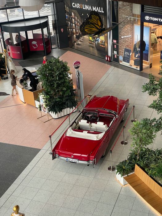 Mașină de epocă/Cadillac/Nuntă/Evenimente/Limuzină/Mașină decapotabilă
