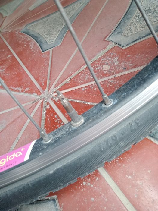 Velosiped Germaniya