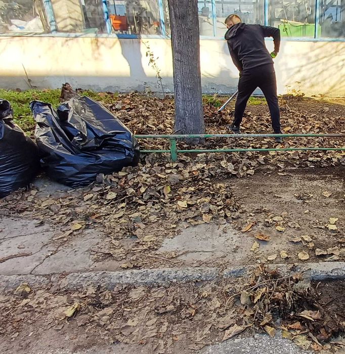 Почистване на сезонен листопад и растителни отпадъци