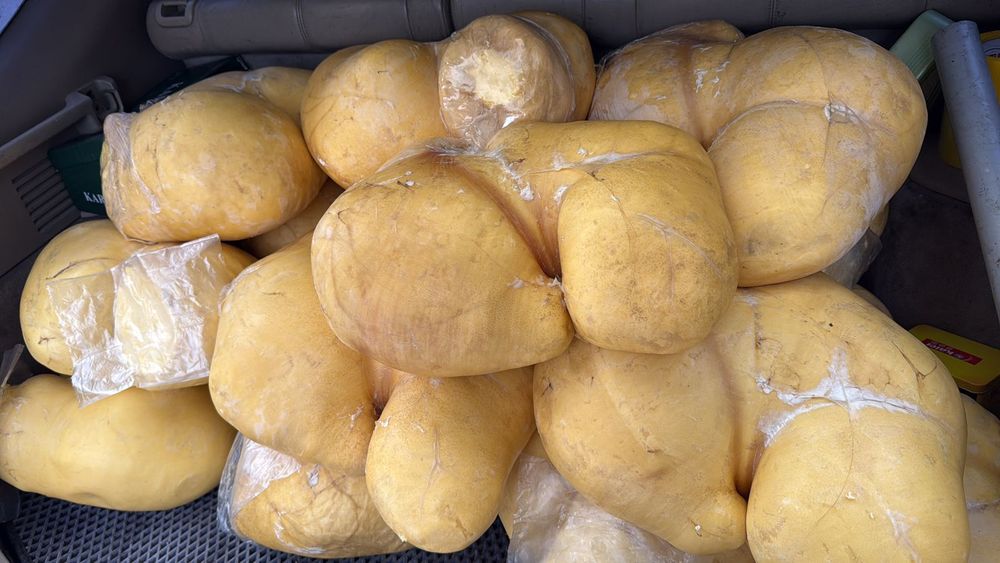 Карын ма сатамын