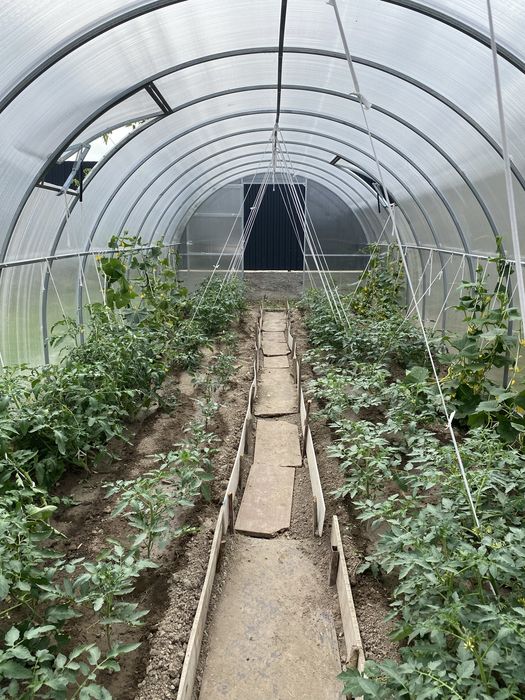 Срочно продам теплицу из поликорбаната