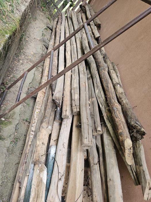 Lemn de peste 100 ani