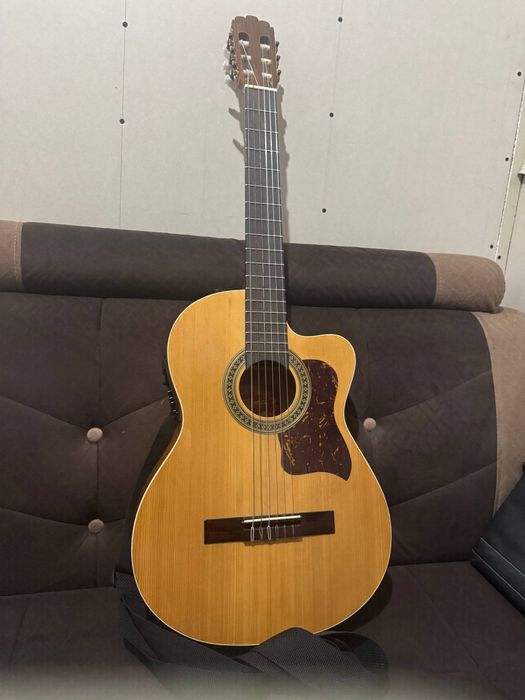 Tagima gitara alo xolatta arzon bervoraman