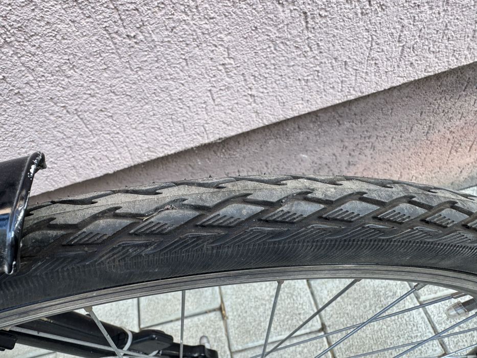 Bicicleta barbateasca