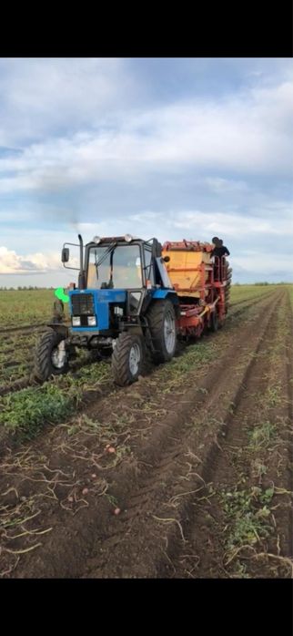 Сдается земля 200 гектар